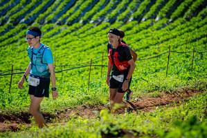 BIB: 
                            <button type="button" onclick="openModal(19161465)" class="btn btn-primary btn-sm float-right btn-popup" data-toggle="modal" data-target=".modal-high-quality">
                        <i class="fas fa-shopping-cart"></i> Add to Cart
                    </button>
                                            <button type="button" onclick="isThisMe(19161465, true)" class="btn btn-success btn-sm float-right btn-popup btn-isme hidden" data-toggle="tooltip" data-placement="bottom" title="นี่คือรูปของคุณใช่ไหม คลิกที่นี่เพื่อเอาเข้าอัลบั้ม">
                        <i class="fas fa-plus"></i> Add to album
                    </button>
                    <button type="button" onclick="isThisMe(19161465, false)" class="btn btn-warning btn-sm float-right btn-popup btn-isnotme hidden">
                        <i class="fas fa-ban"></i> Remove from album
                    </button>